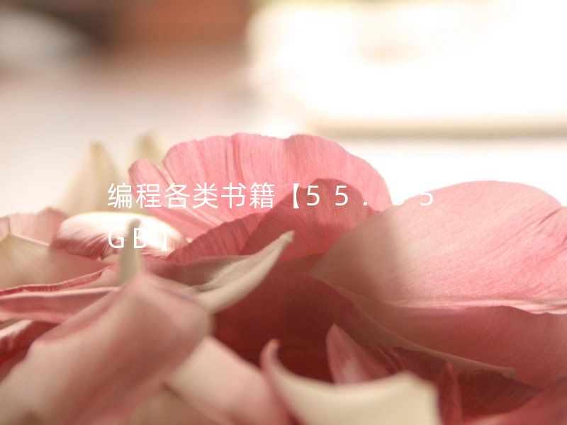 编程书籍大全 编程各类书籍【55.65GB】