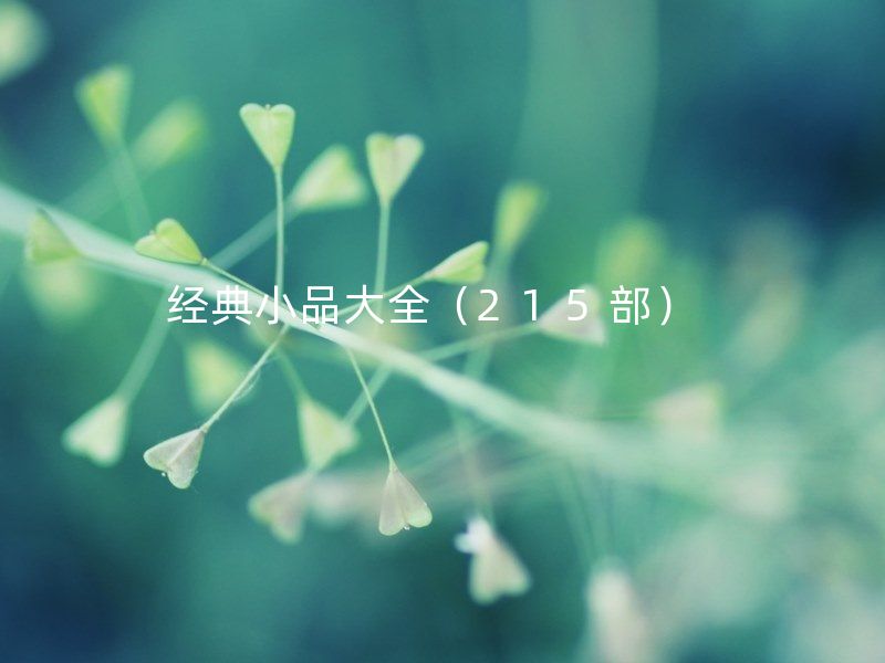 经典小品大全（215部） 欢乐喜剧人小品合集/冯巩、郭冬临相声小品合集