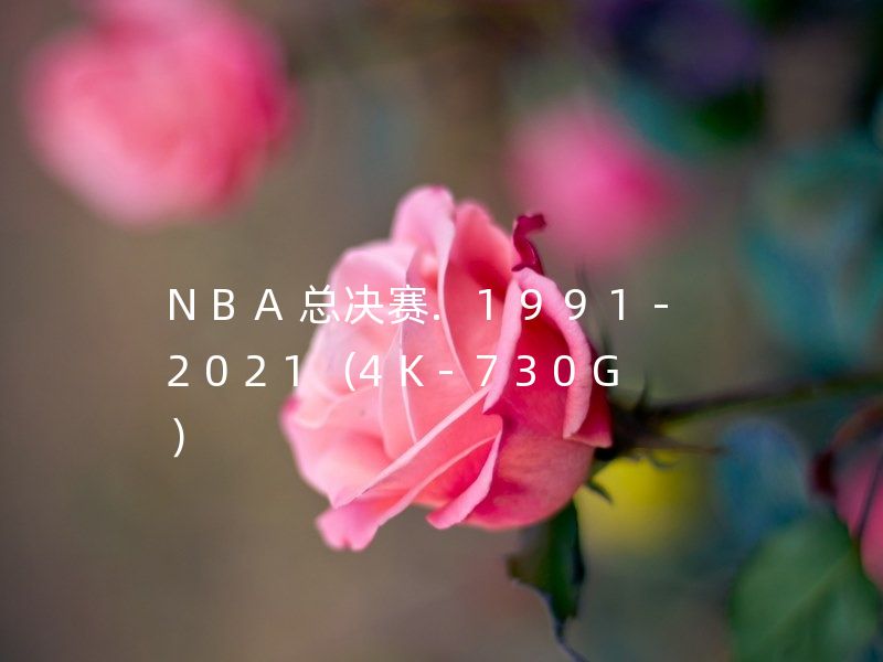 历届NBA总决赛.1991-2021（4K-730G）