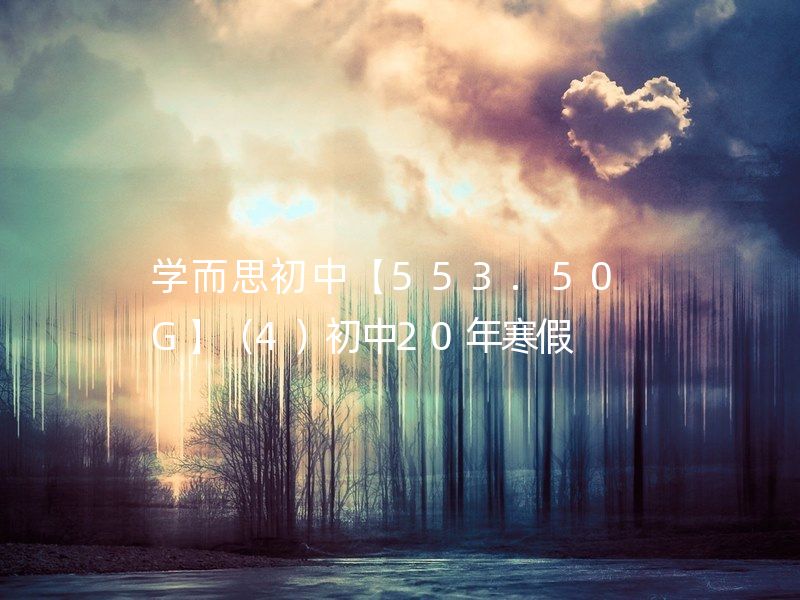 学而思初中【553.50G】（4）初中20年寒假  初一语文阅读写作直播班/初一语文石雪峰