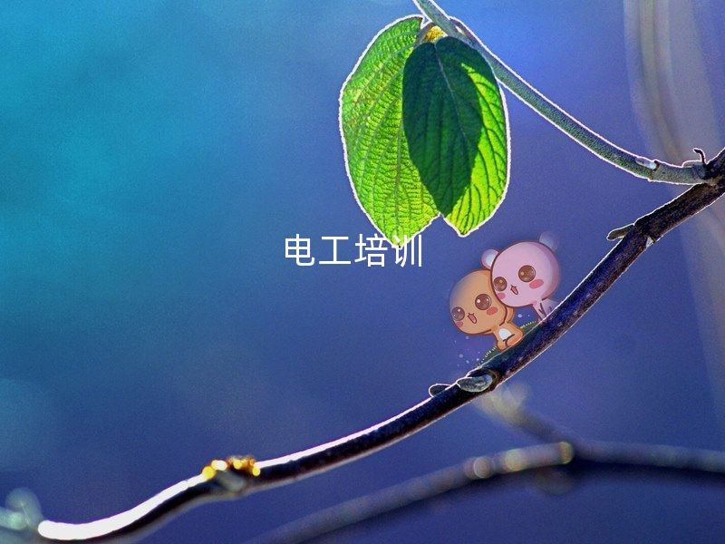 电工培训  电工识图 /电工基础
