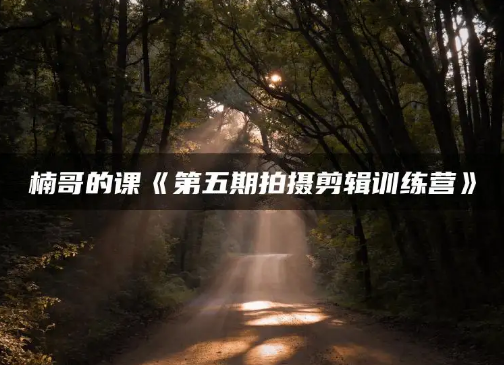  楠哥的课七天摄影剪辑训练营