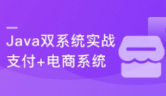 Java通用型支付+电商平台双系统实战-348元