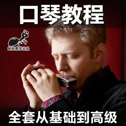 布鲁斯十孔口琴