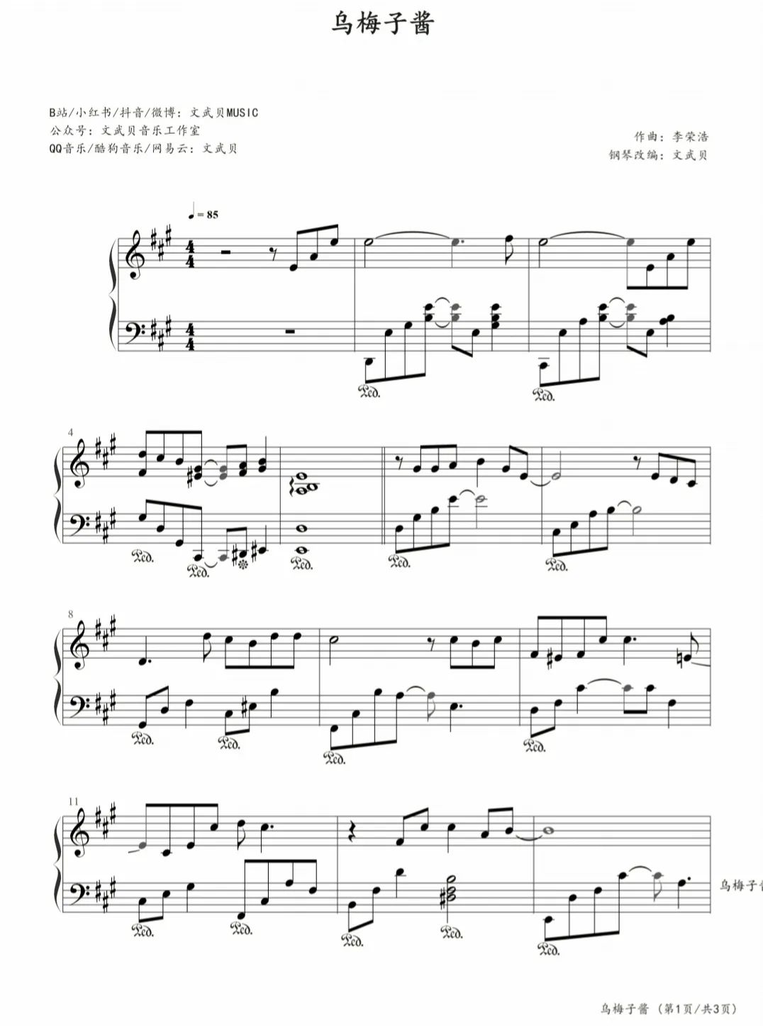 乌梅子酱钢琴谱-歌词-李荣浩-钢琴独奏五线谱