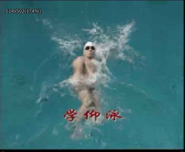 教你一周内会游泳！游泳全集！
