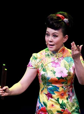 河南坠子大全视频_河南坠子戏坠子书全集mp3下载