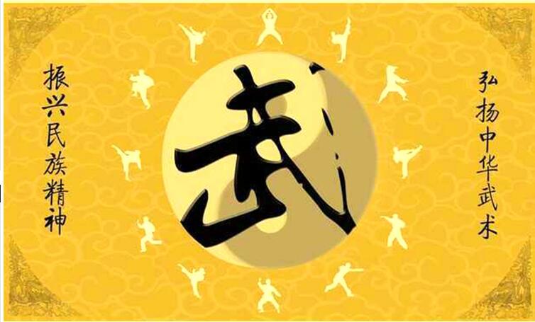 徐纪八极惊雷系列全集八极拳武术视频教程
