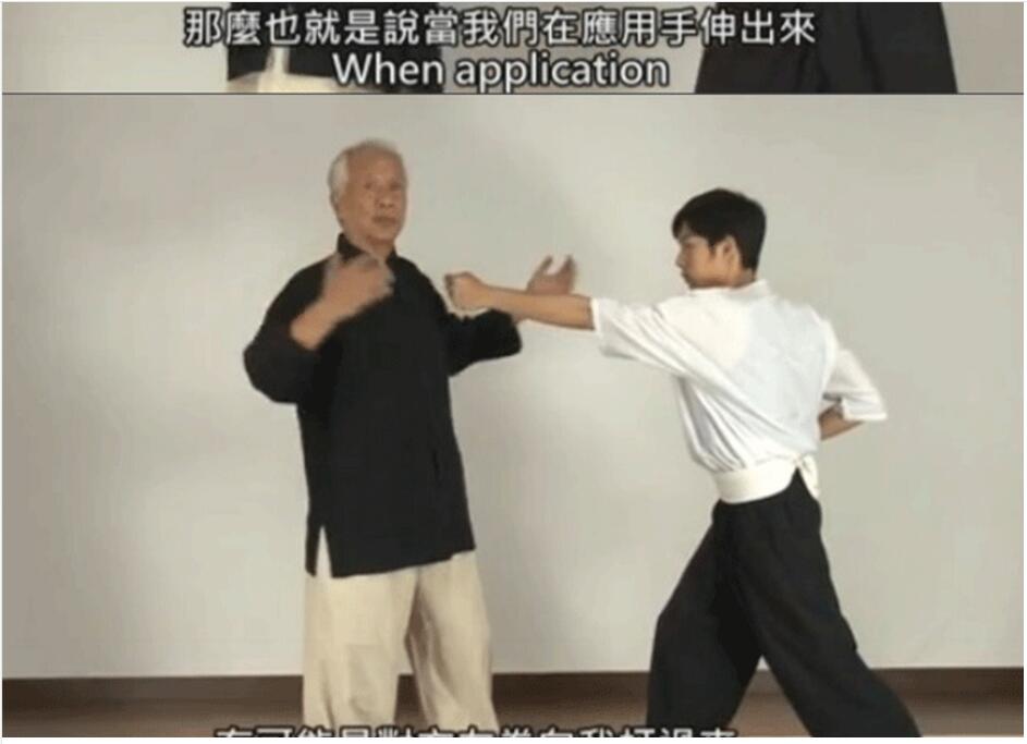 徐纪八极惊雷系列全集八极拳武术视频教程