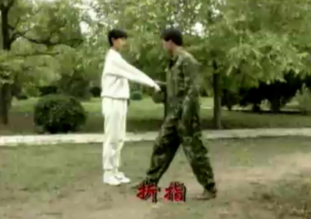 散打 泰拳 搏击 混合教程