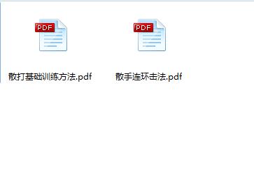 散打 泰拳 搏击 混合教程