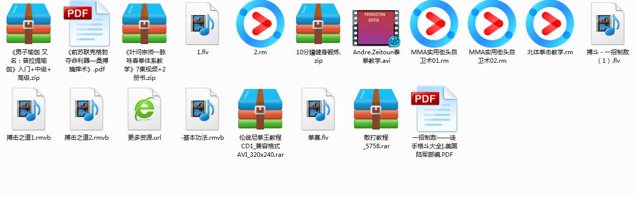 散打 泰拳 搏击 混合教程