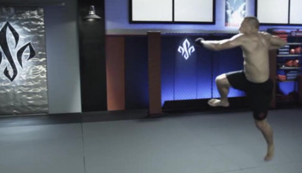 实战武术教学视频教程