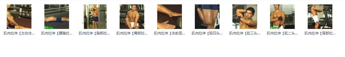最实用健身教程