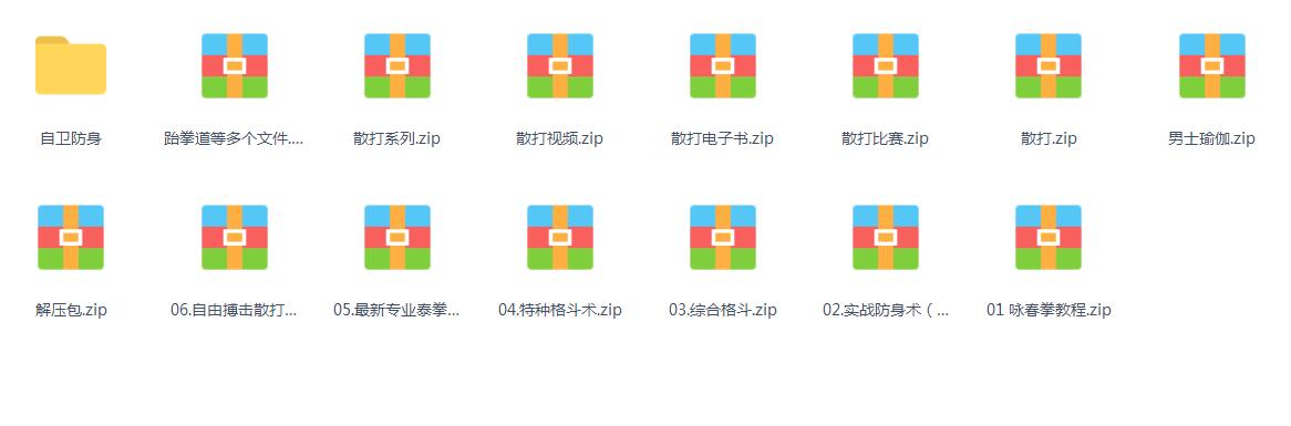 实战武术教学视频教程