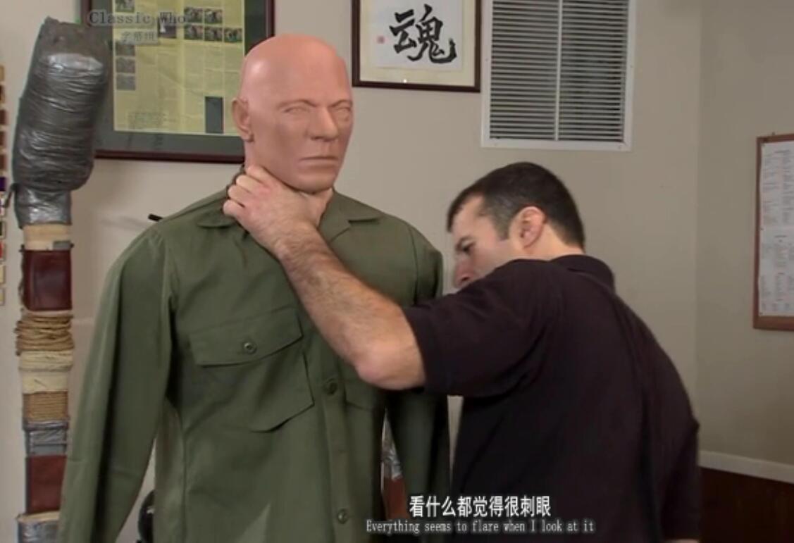 实战武术教学视频教程