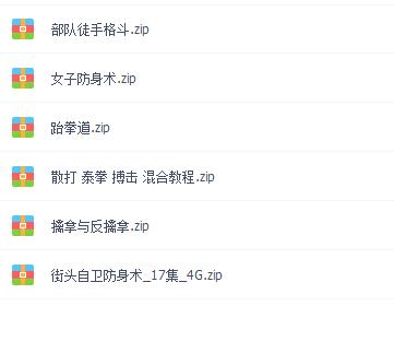 武术视频