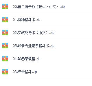 武术视频