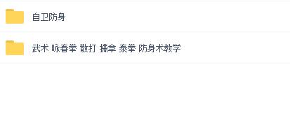 武术视频