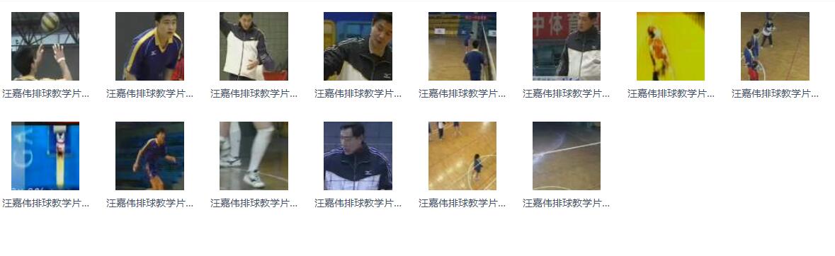 汪嘉伟排球教学