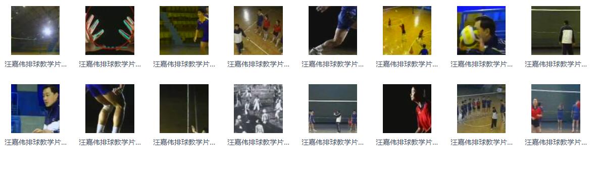 汪嘉伟排球教学