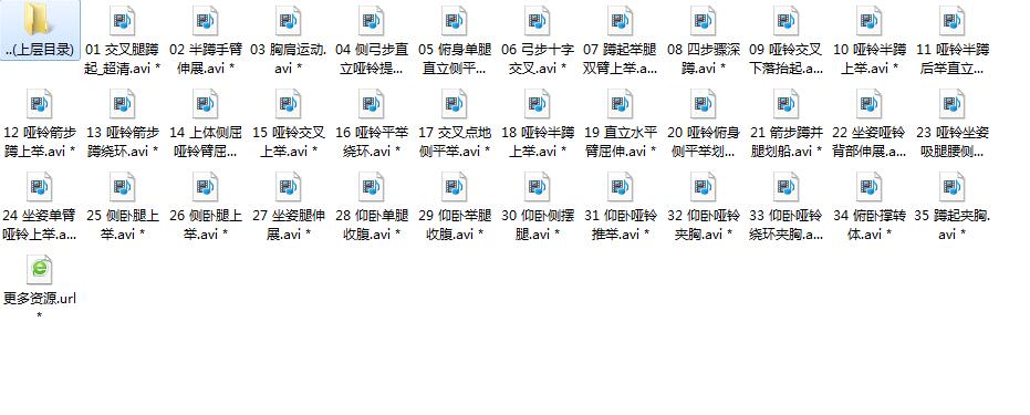 郑多燕减肥健身系列视频