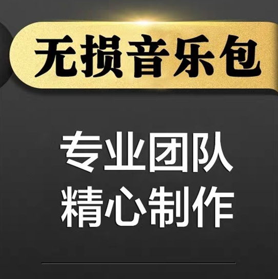 DJ无损音乐大全