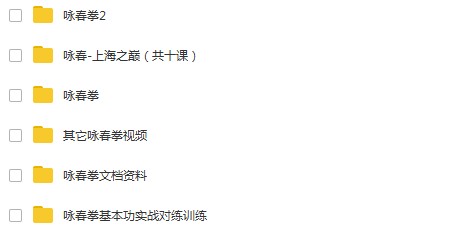 咏春拳教学视频-咏春拳教学-咏春拳视频-咏春拳教程