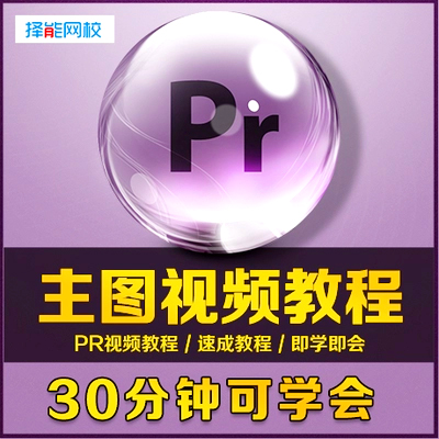 adobe premiere视频教程合集打包下载