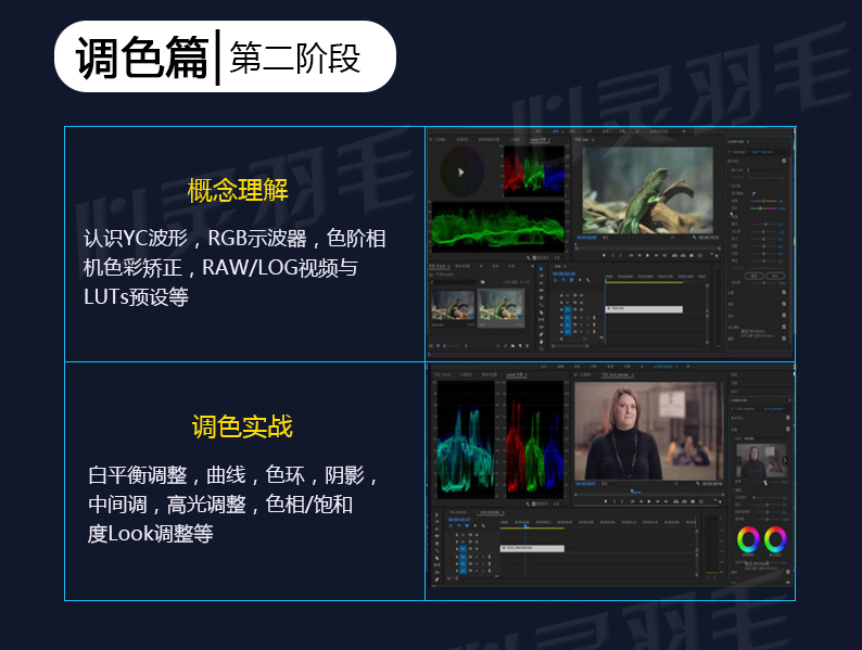 adobe premiere视频教程合集打包下载