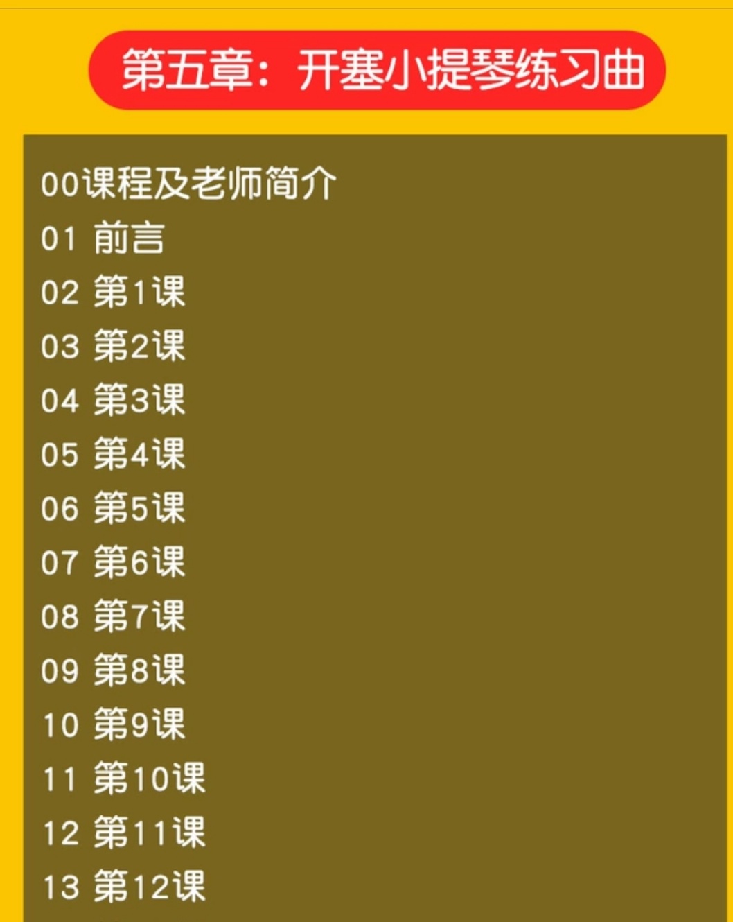 小提琴视频教程教学 自学零基础入门学习课程 音阶教程 铃木小提琴视频教程 儿童版 成人版教程 涵盖全面