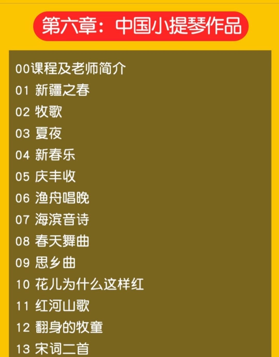 小提琴视频教程教学 自学零基础入门学习课程 音阶教程 铃木小提琴视频教程 儿童版 成人版教程 涵盖全面