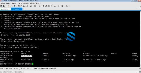Docker&Kubernetes（K8S）老男孩Kubernetes全栈部署实战课程 从K8S集群架构到项目交付 K8S周末班高级课程