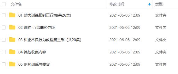 最实用齐全的训狗视频教程下载