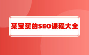分享某宝买的SEO课程大全