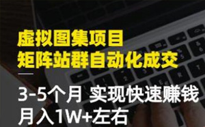 虚拟图集项目：矩阵站群自动化成交，3-5个月实现快速赚钱月入1W+