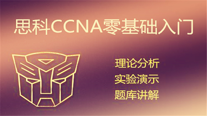 [CCNA RS] SPOTO CCNA VIP 307班-孙林波