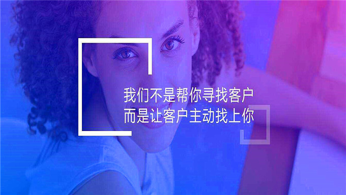 年薪25万网络营销系列 营销思维+实操+商业逻辑+项目案例