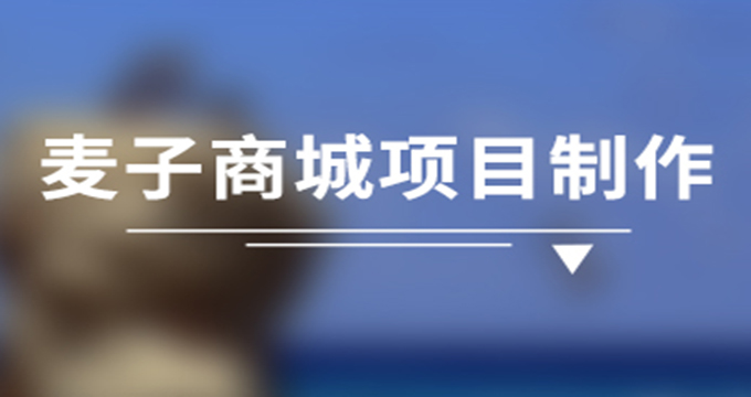 麦子商城项目制作实战
